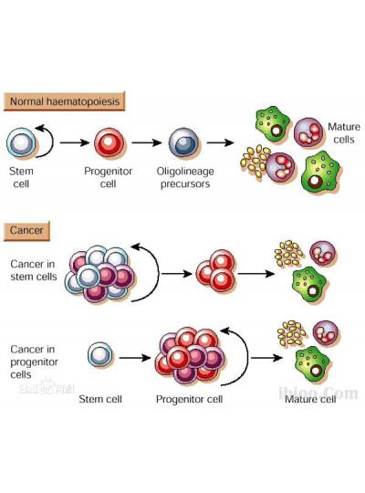 未來已來！干細胞療法在老年疾病治療方面的潛力正在逐步顯現(xiàn)！